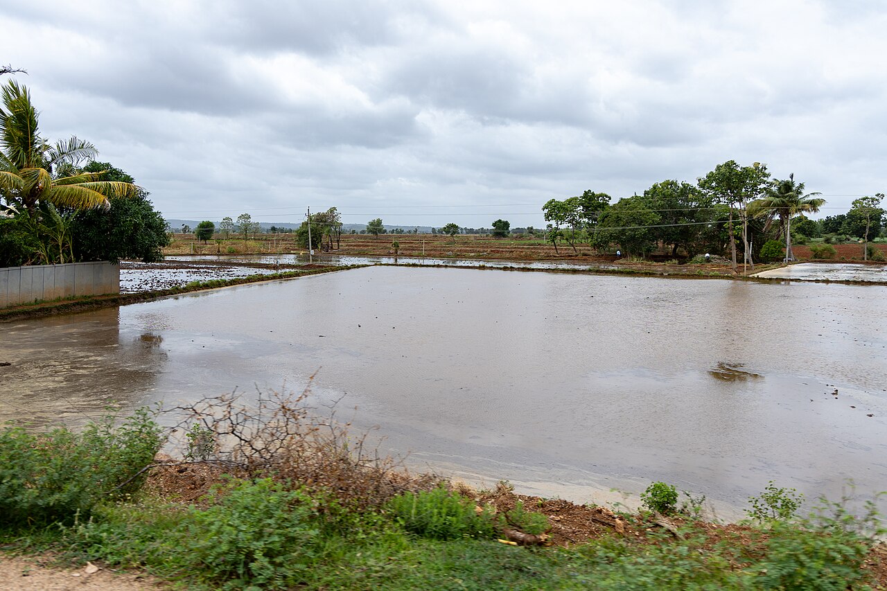 తెలుగు రాష్ట్రాల్లో మారుతున్న రుతుపవనాలు: రైతులకు అర్థం ఏమిటి?