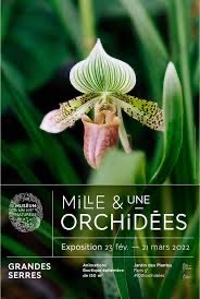 Affiche de Mille & une orchidées
