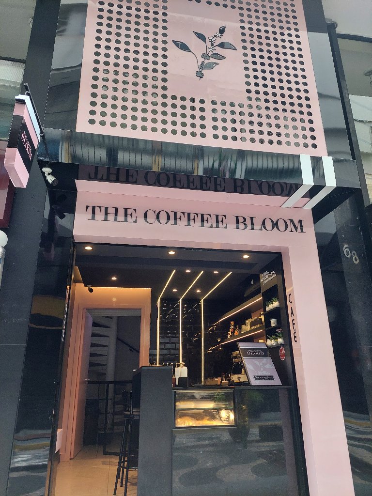 The Coffee Bloom