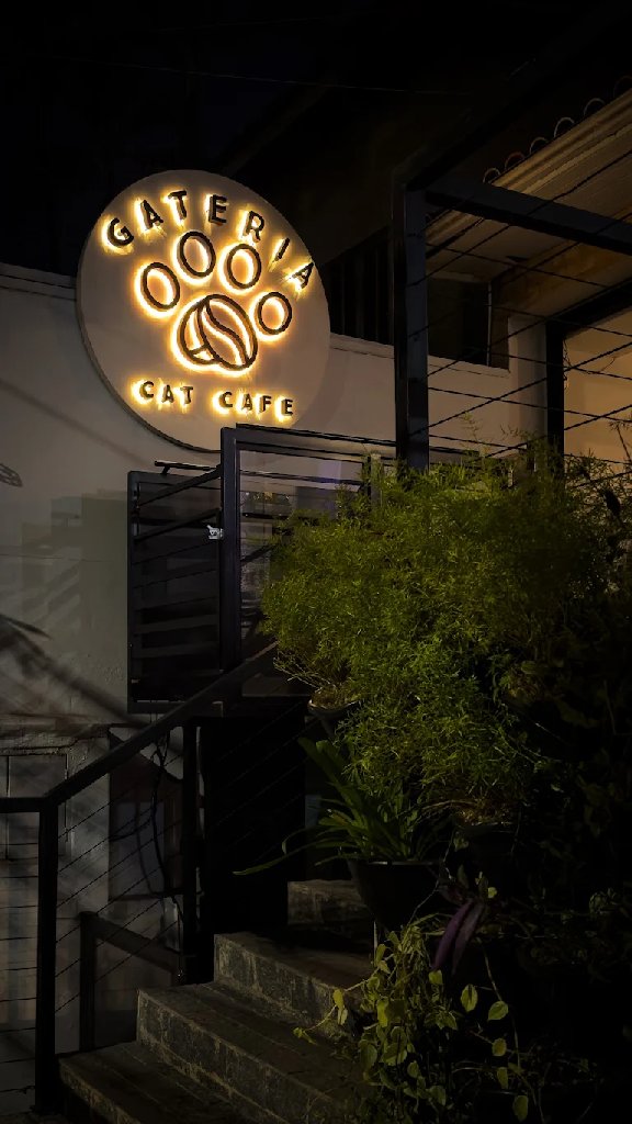 Gateria Cat Cafe