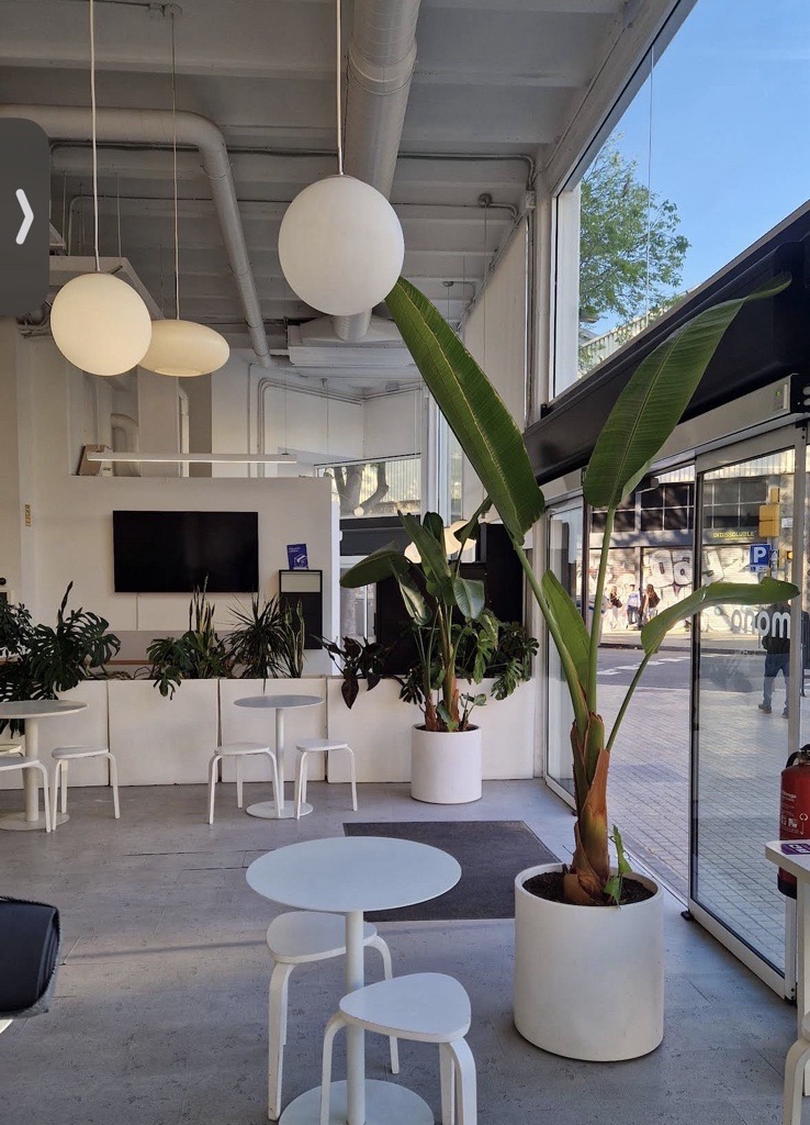 Mono Cafè | Poblenou