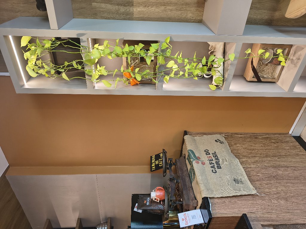 Bençoi Together Cafés Especiais