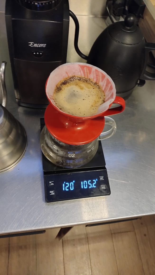 Sterna Café Trilogy 