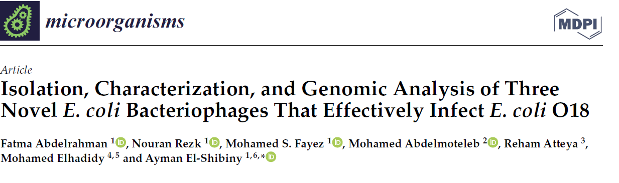 phage