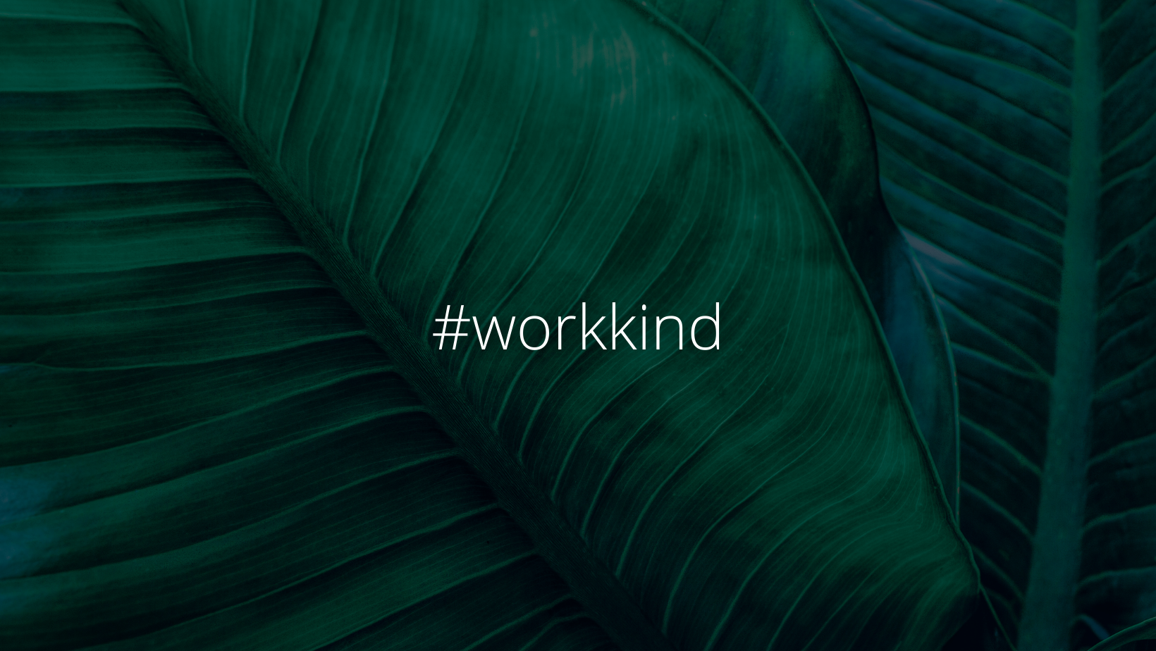 #workkind