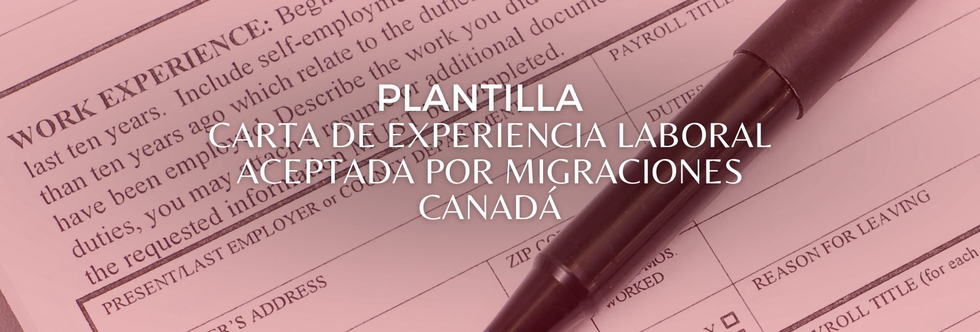 Plantilla Carta de Verificación de Experiencia Laboral | USD 19