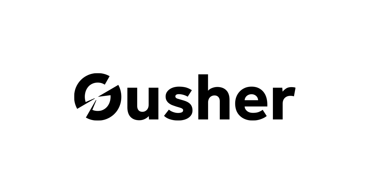 Gusher Marketing Audit