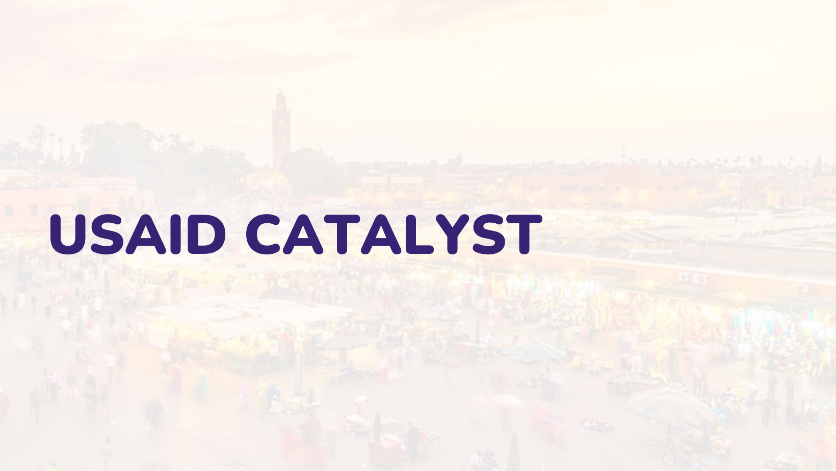 USAID Catalyst