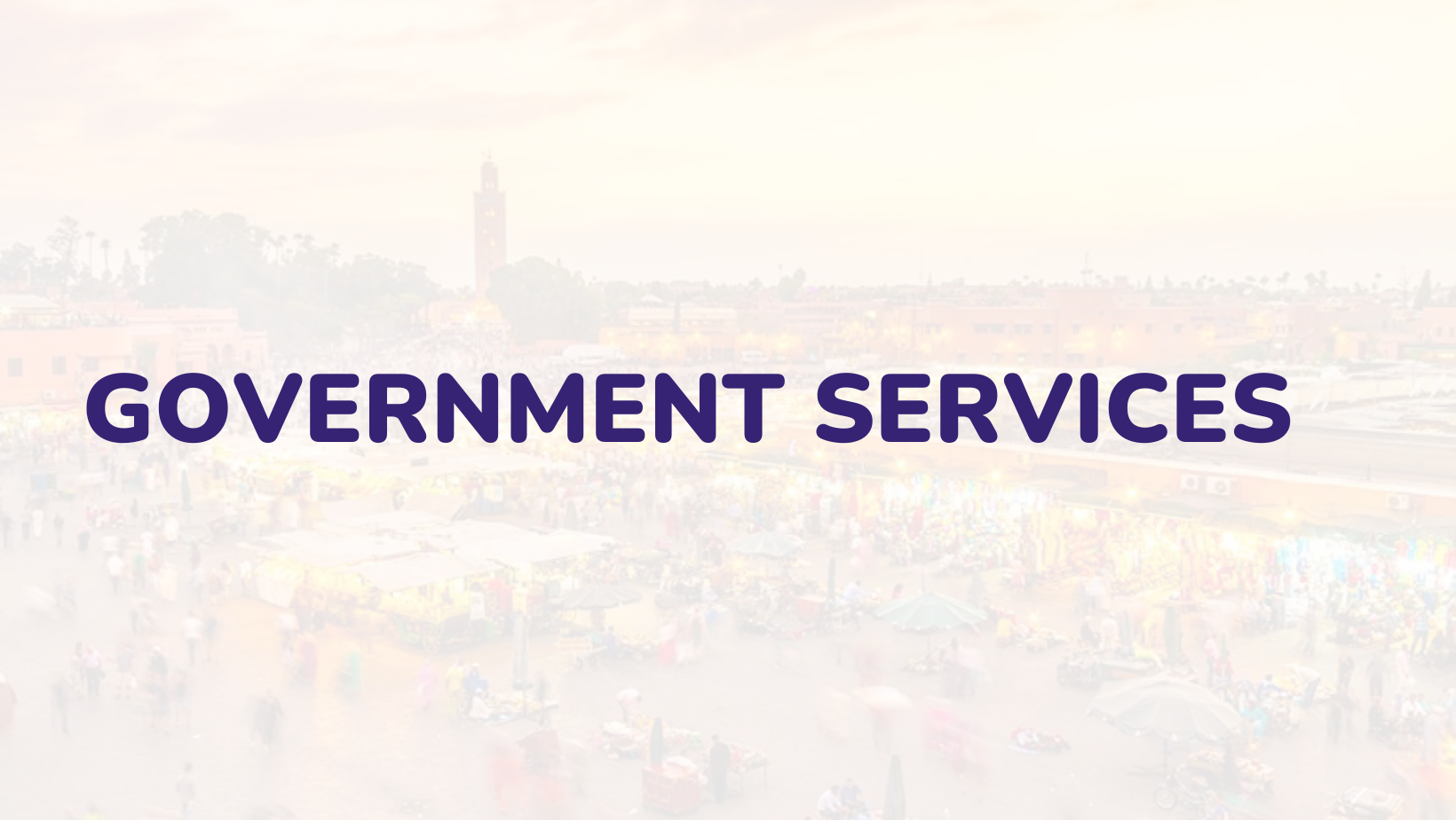Government Services