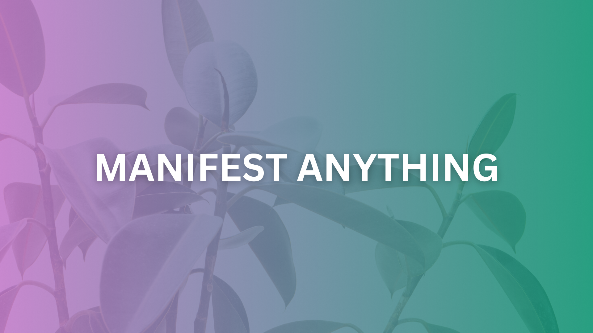Your Guide to Manifesting Anything