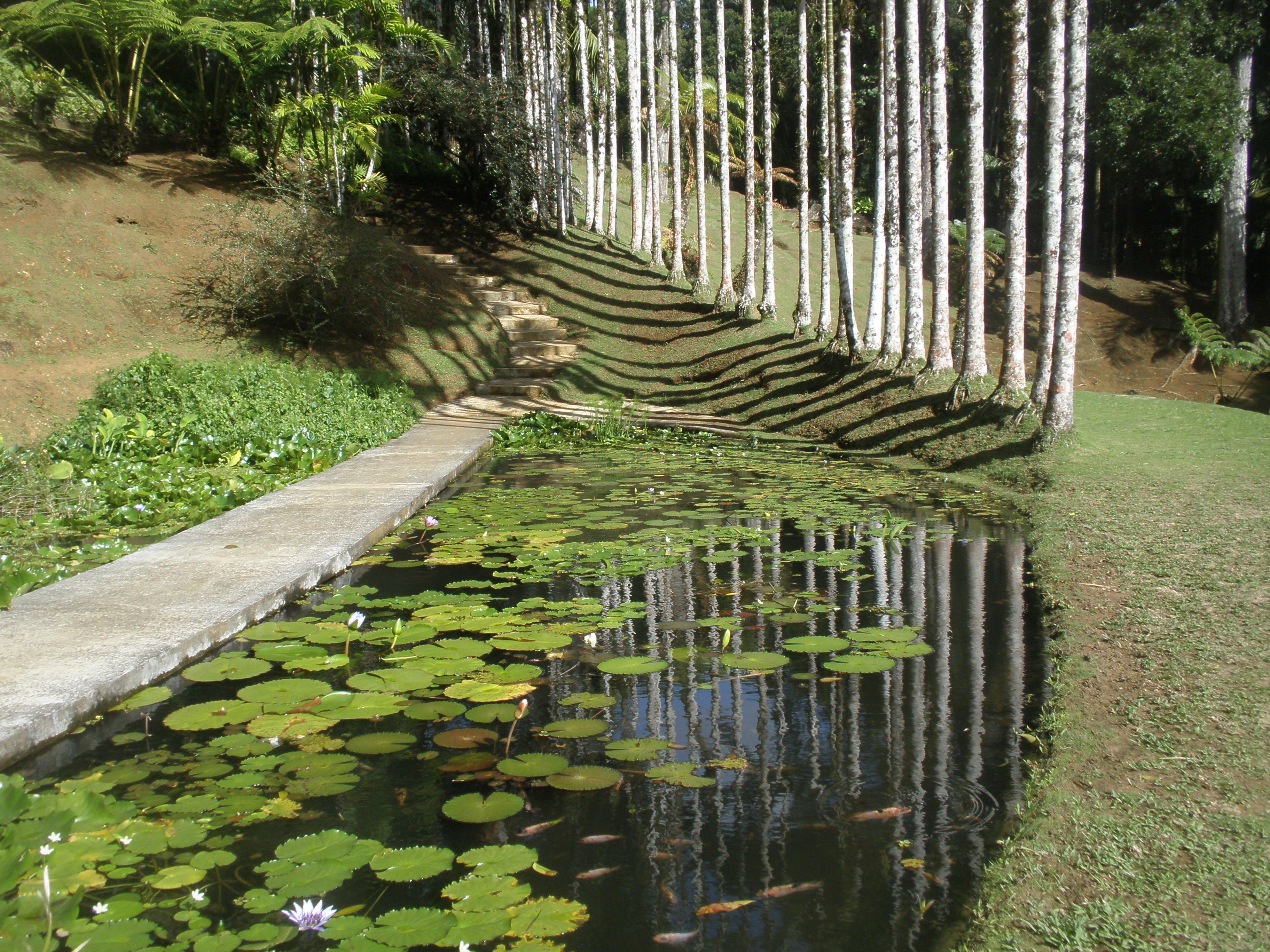 Jardin de Balata 5