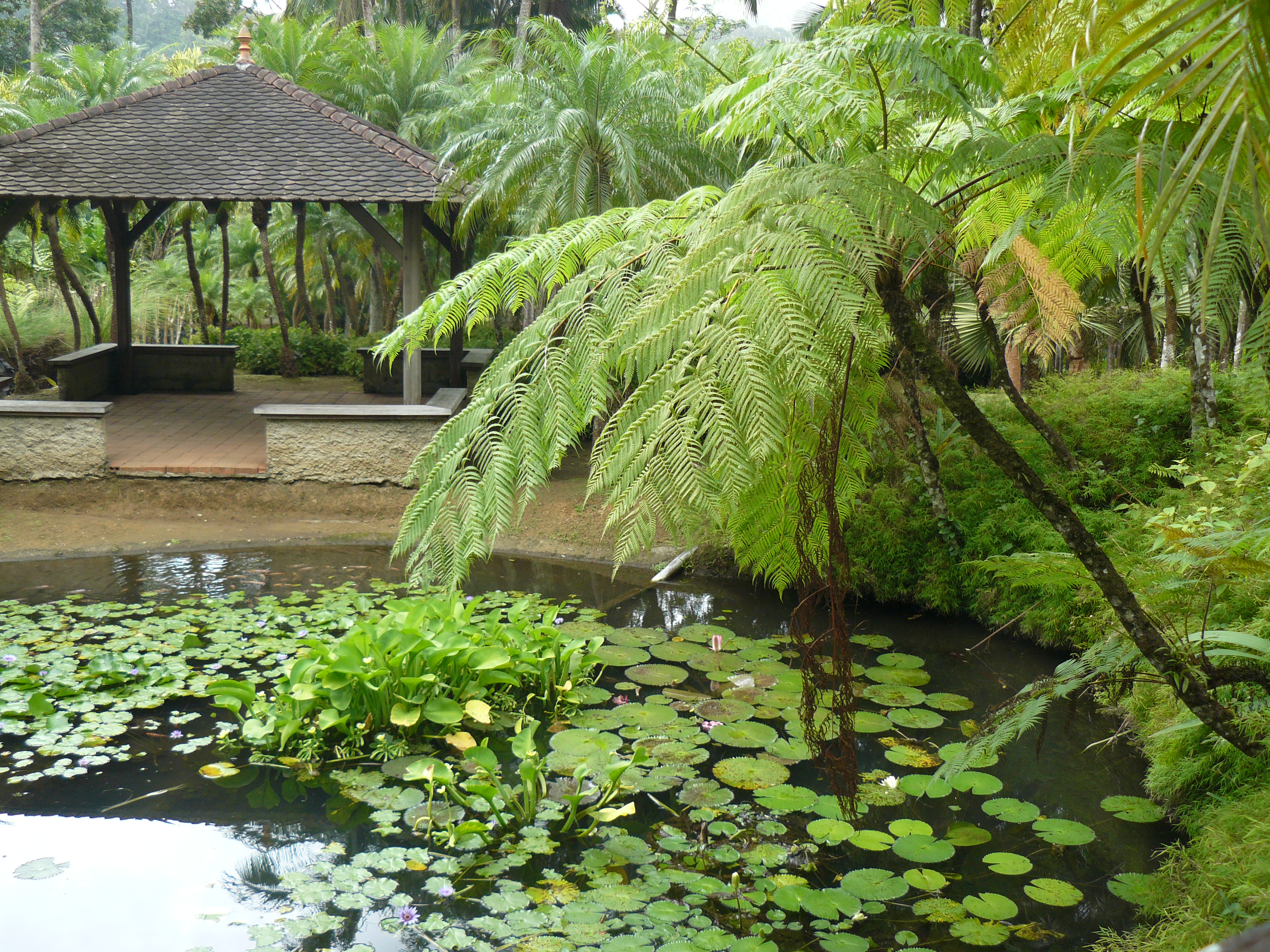 Jardin de Balata 6