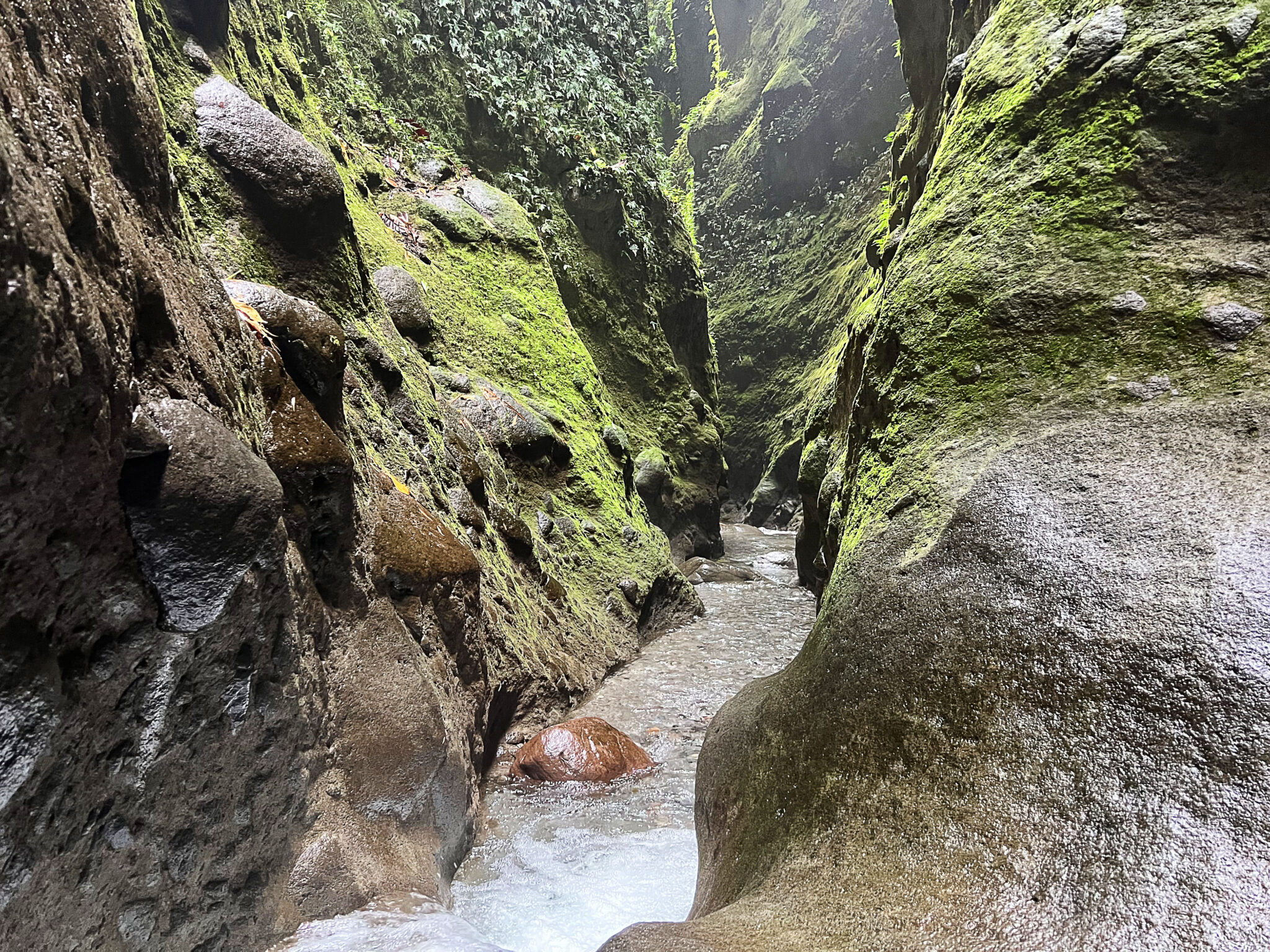 Gorges de la Falaise
