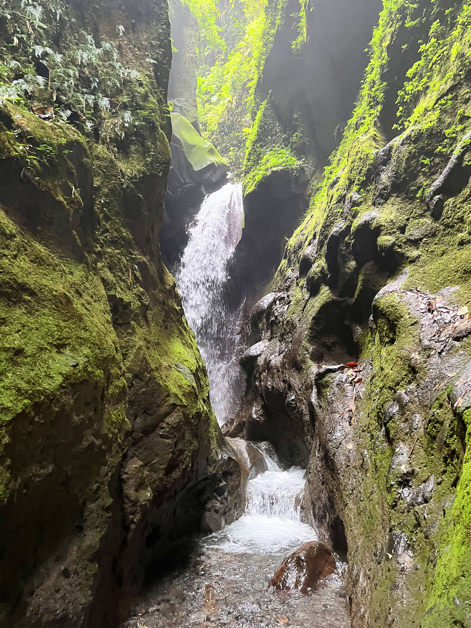 Gorges de la Falaise 2