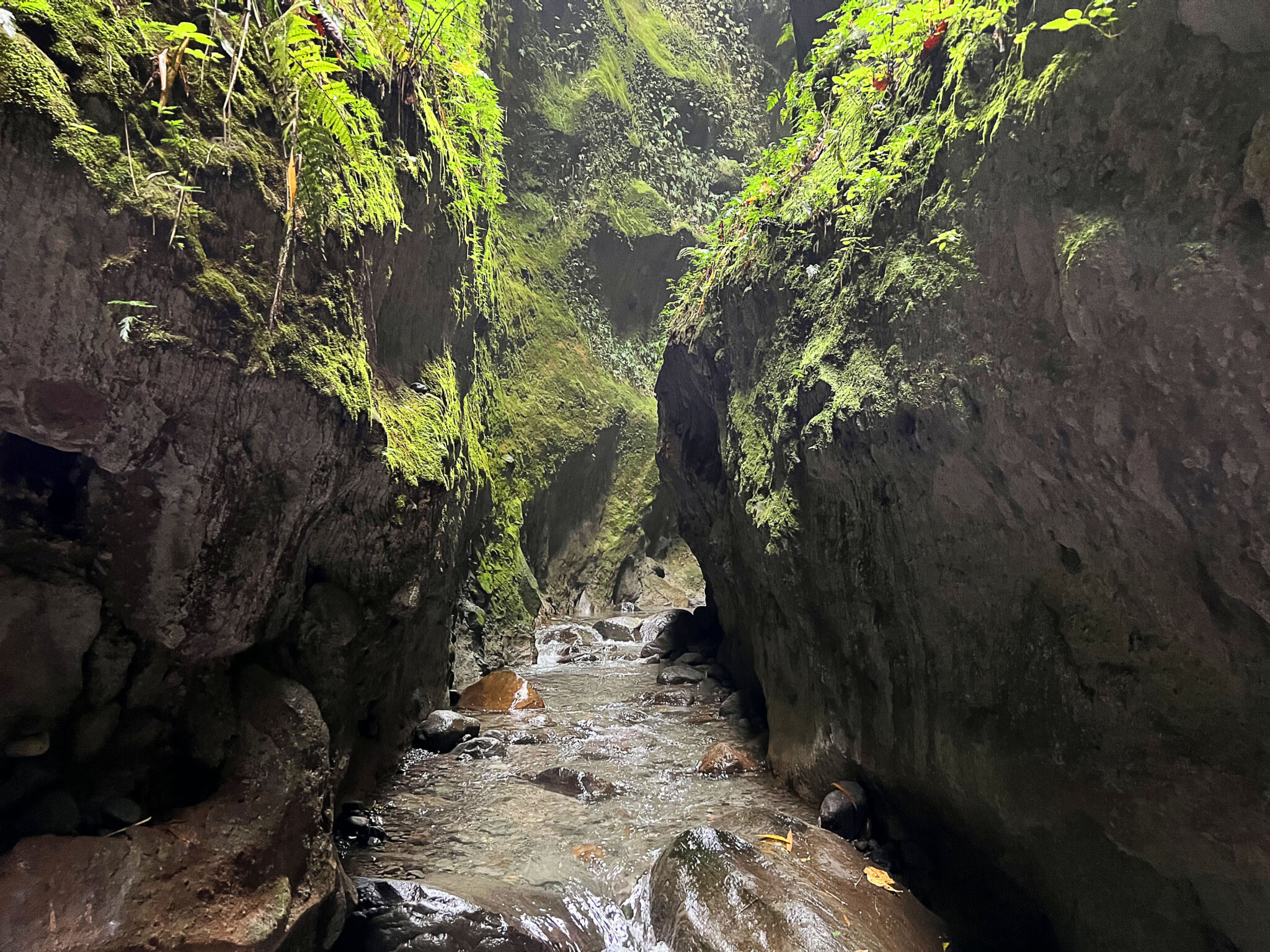 Gorges de la Falaise 4