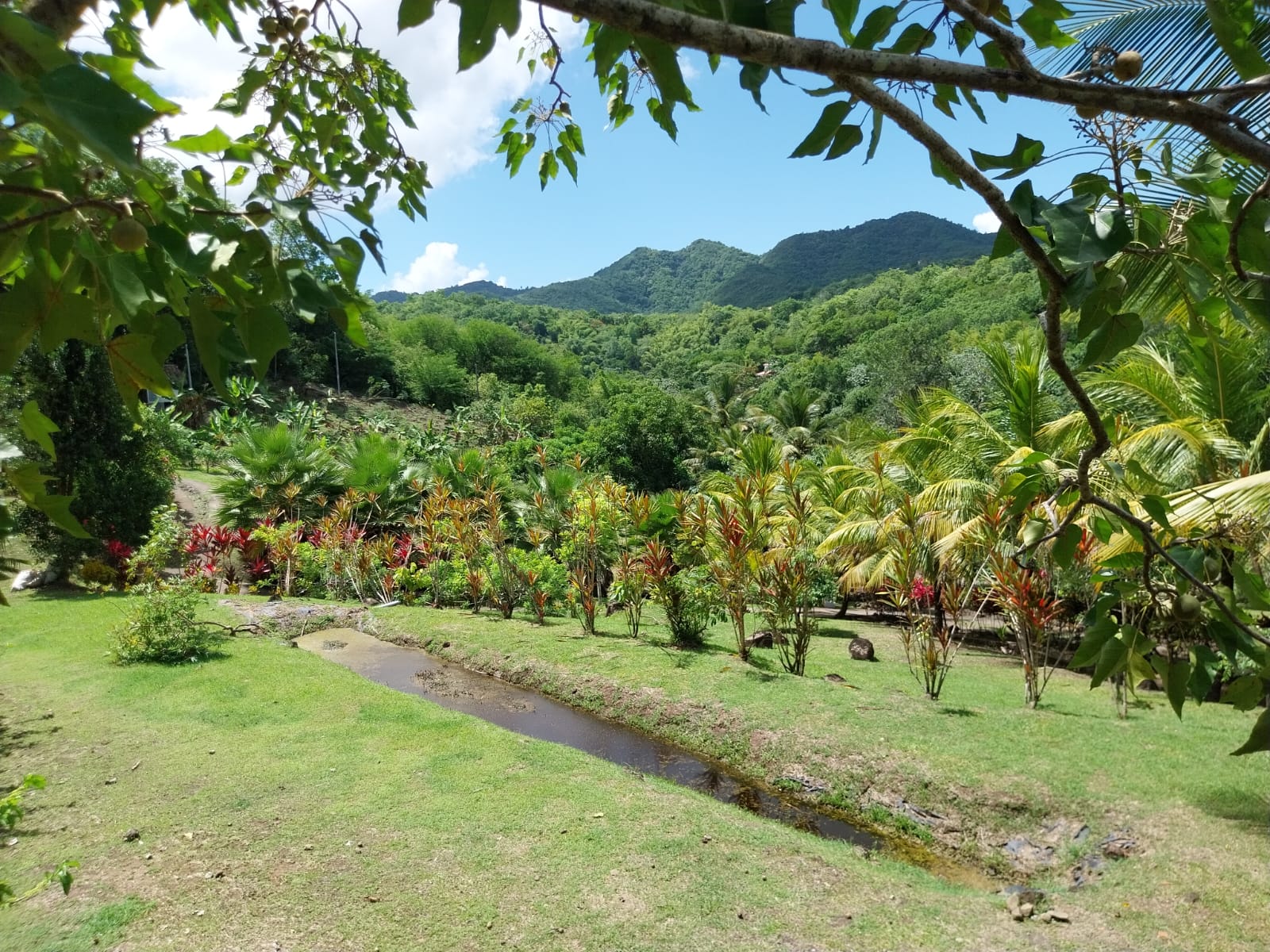 La Savane des Esclaves 3