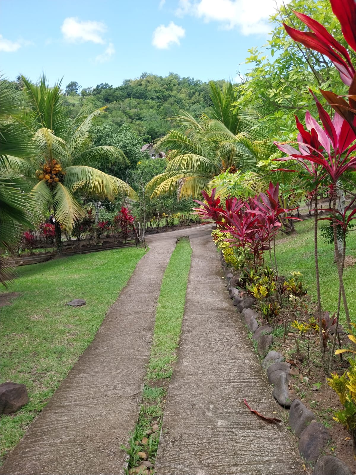 La Savane des Esclaves 5
