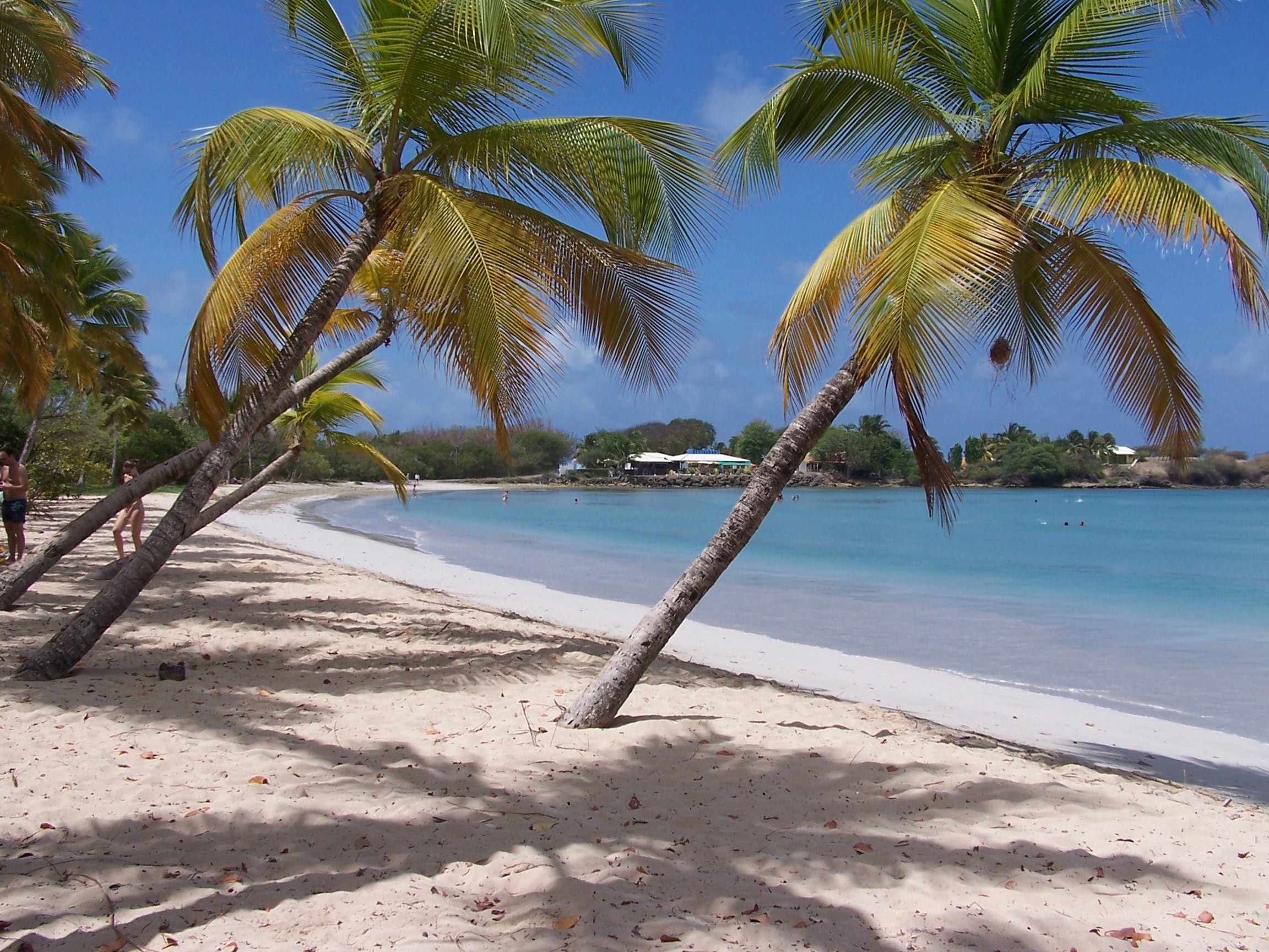 Grande Anse des Salines 2