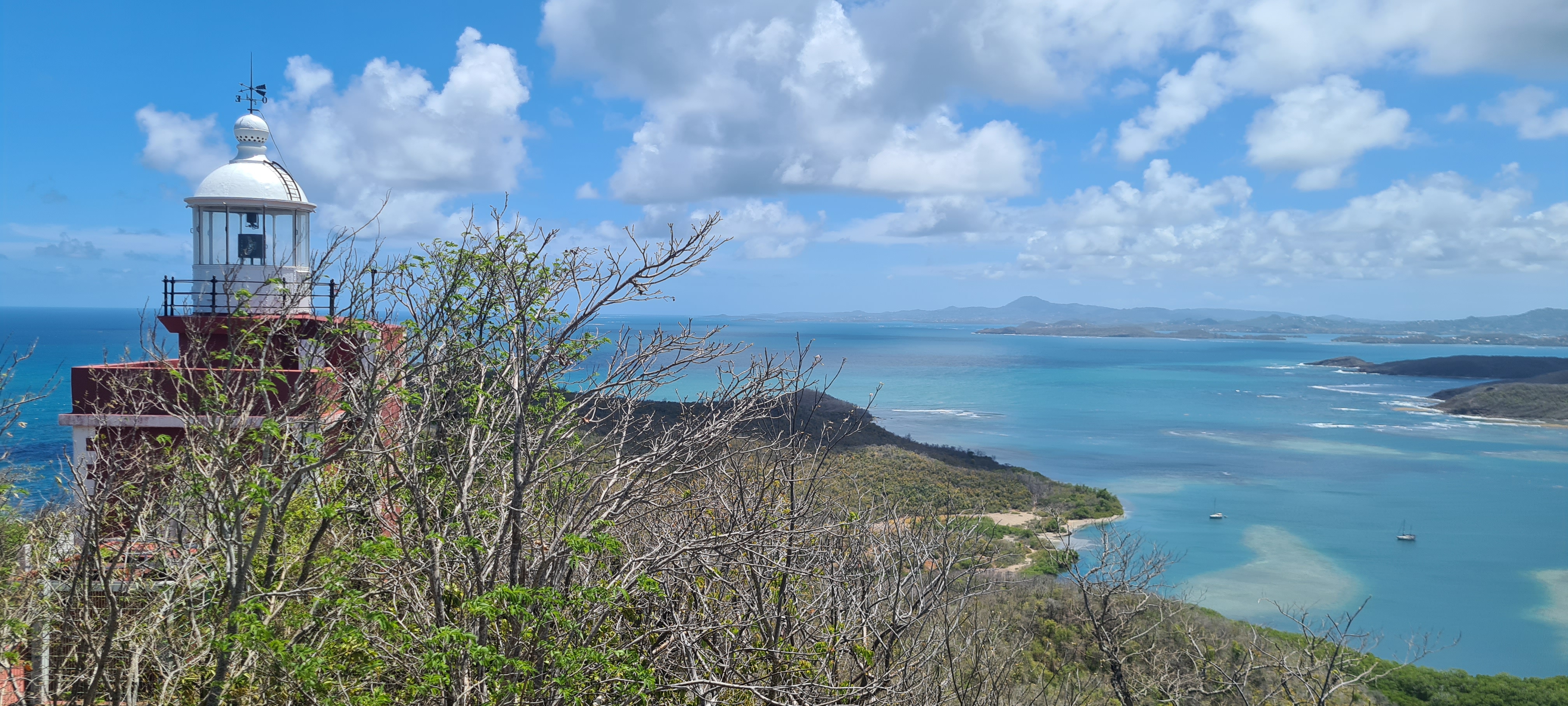 Réserve naturelle nationale de la Presqu’île de la Caravelle 3