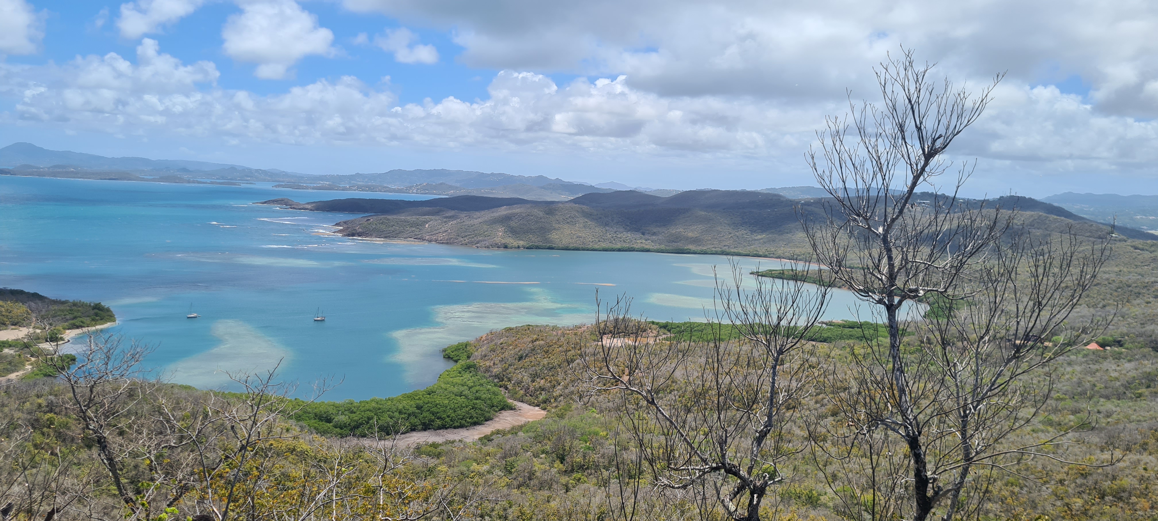 Réserve naturelle nationale de la Presqu’île de la Caravelle 5