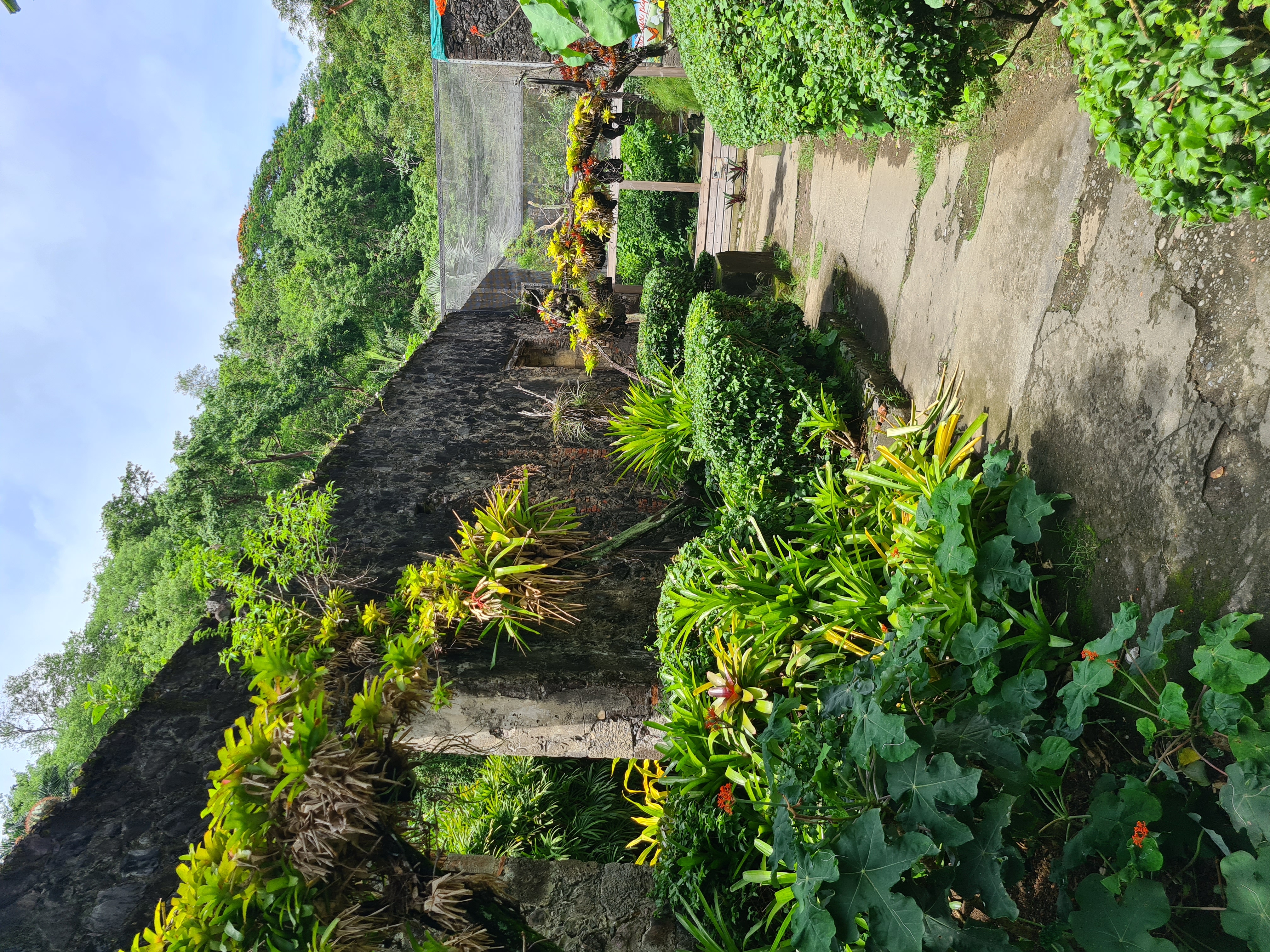 Zoo de Martinique – Habitation Latouche