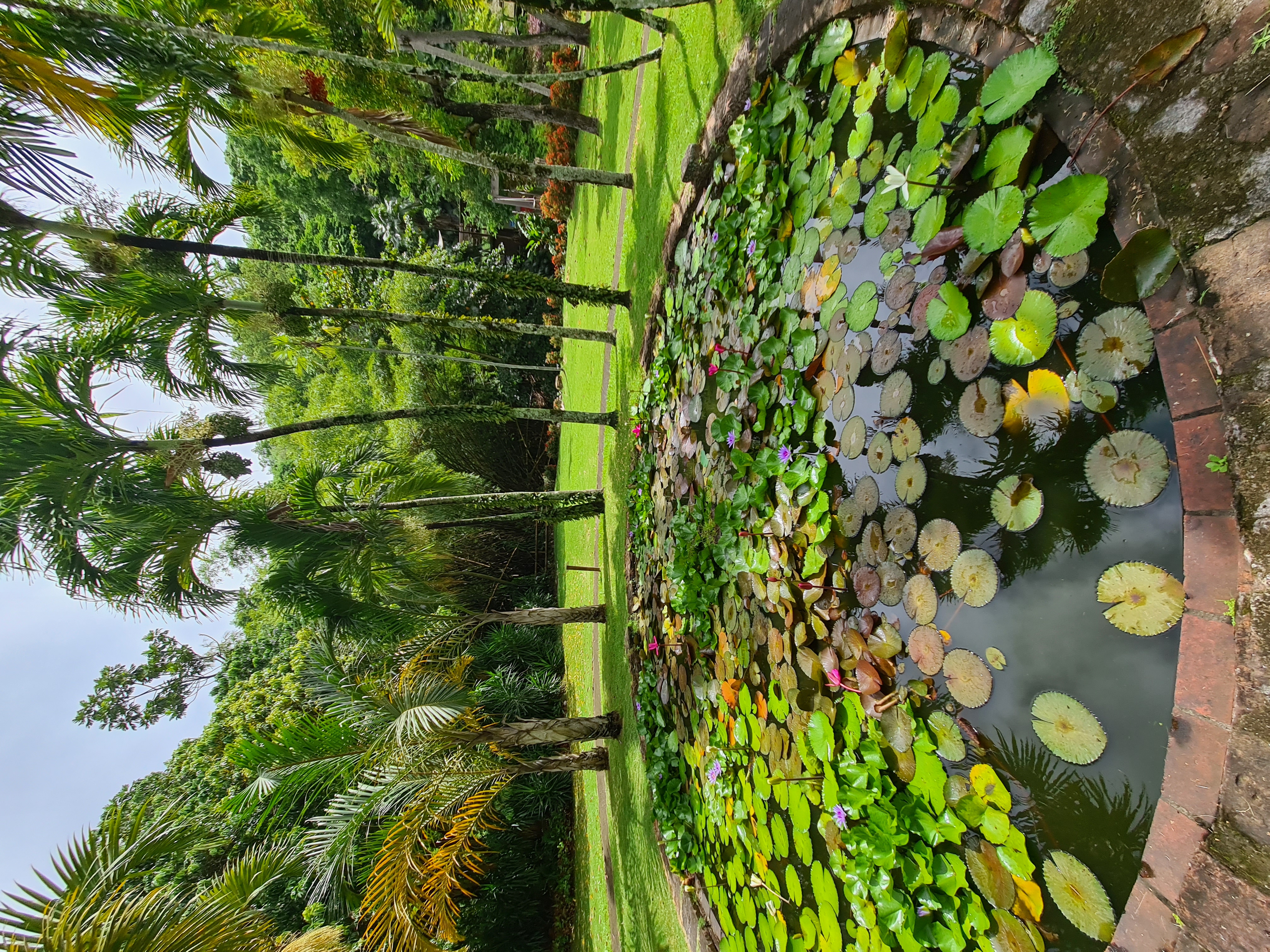 Zoo de Martinique – Habitation Latouche 5