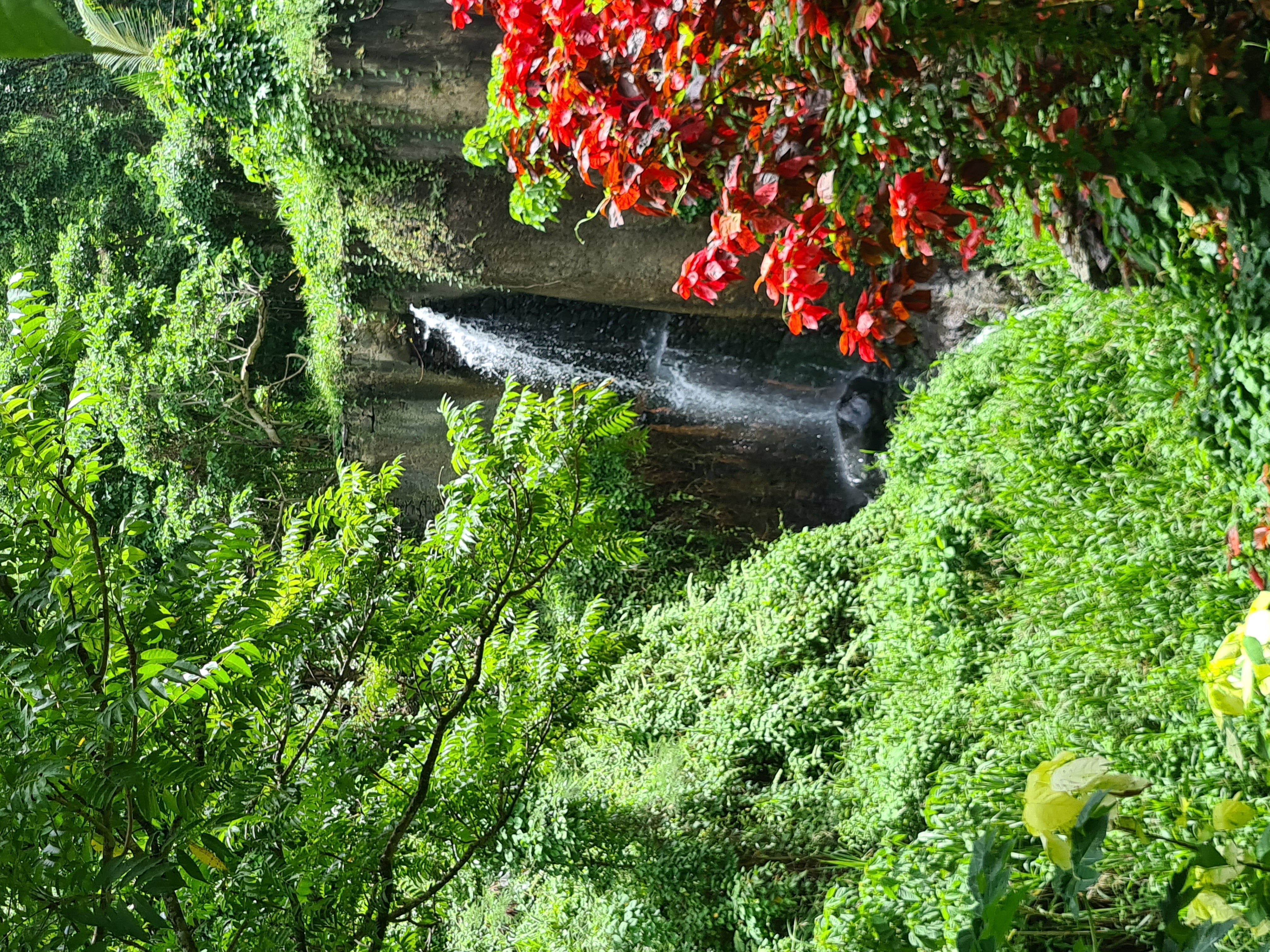 Zoo de Martinique – Habitation Latouche 6