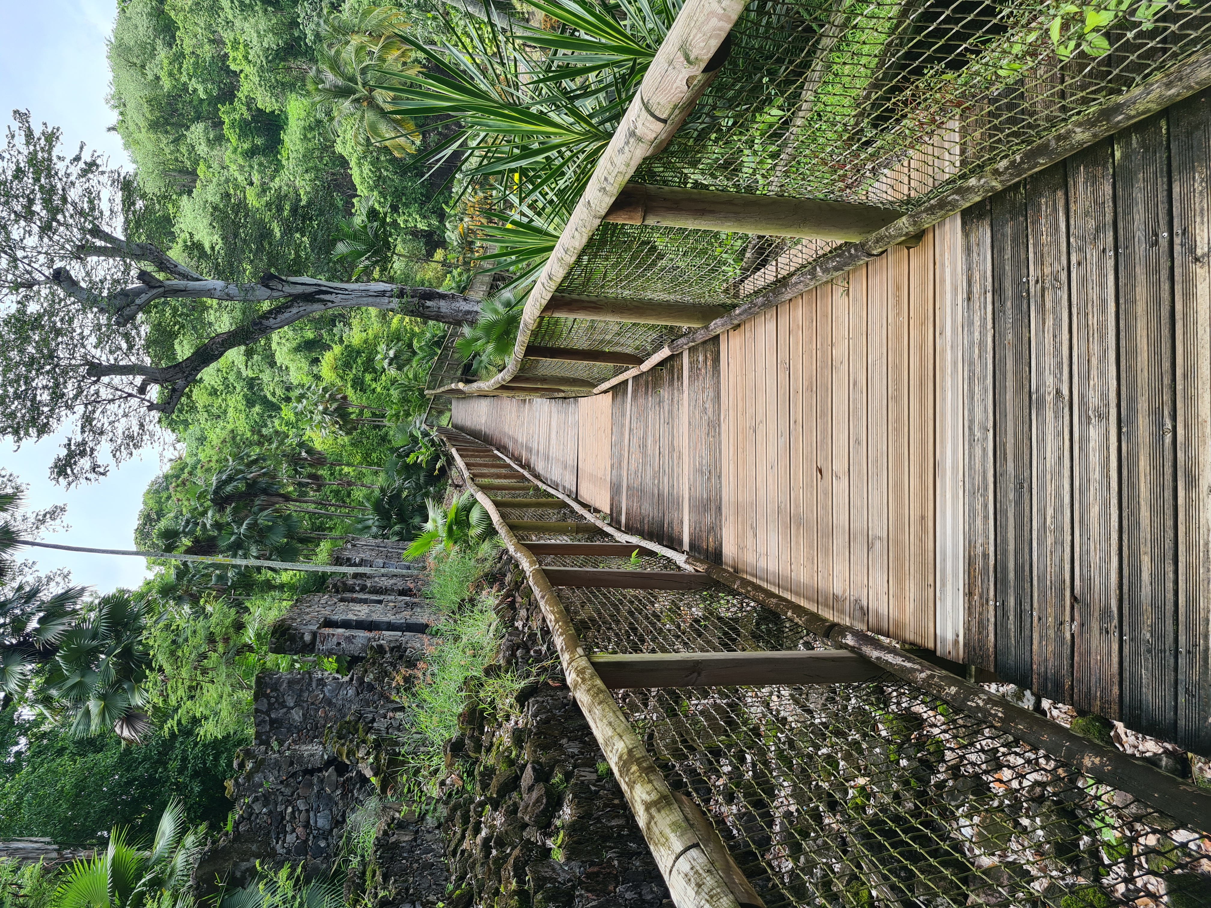 Zoo de Martinique – Habitation Latouche 7