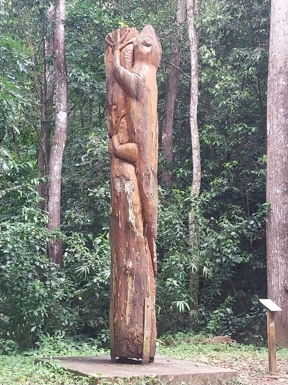 Forêt de Montravail 3