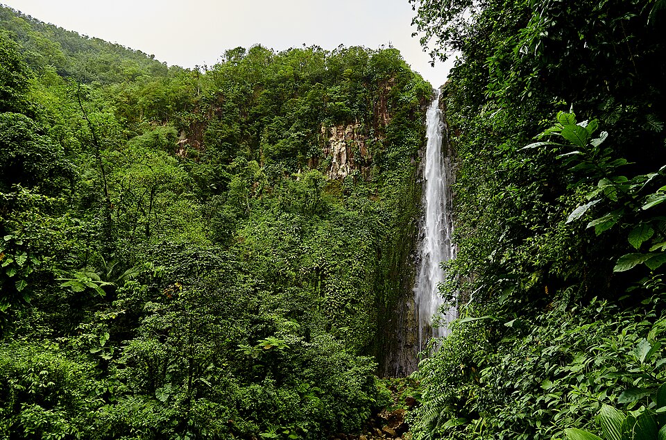 Chutes du Carbet