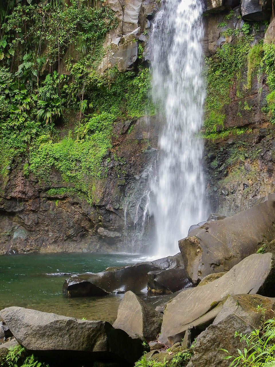 Chutes du Carbet 2