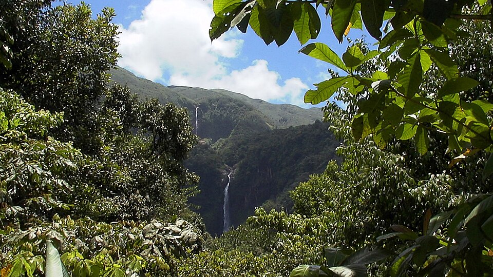 Chutes du Carbet 5