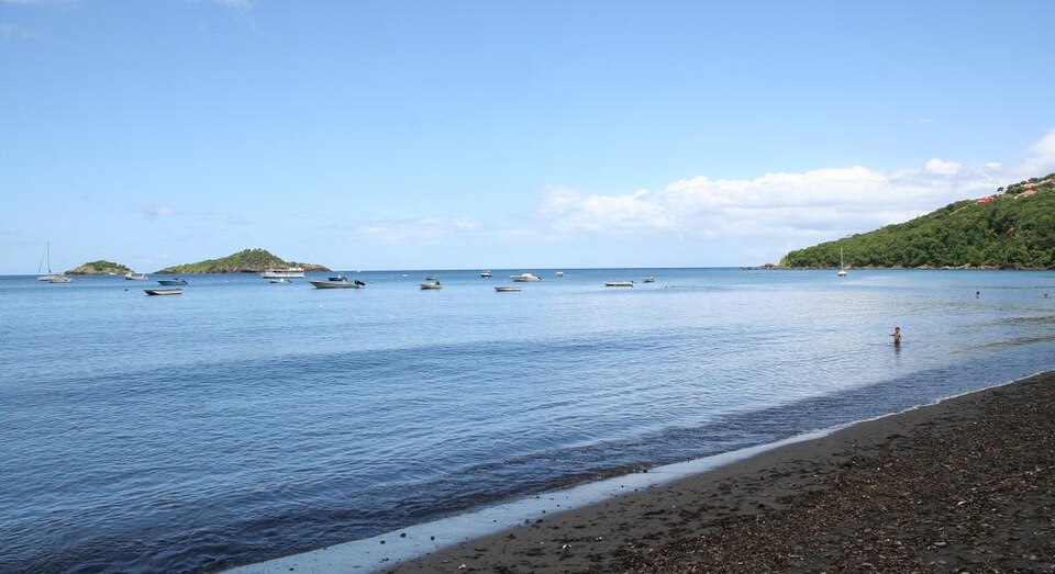 Cœur marin des Îlets Pigeon – Réserve Cousteau