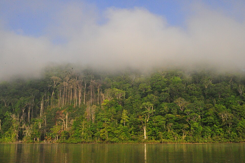 Fleuve Maroni – Expédition en pirogue