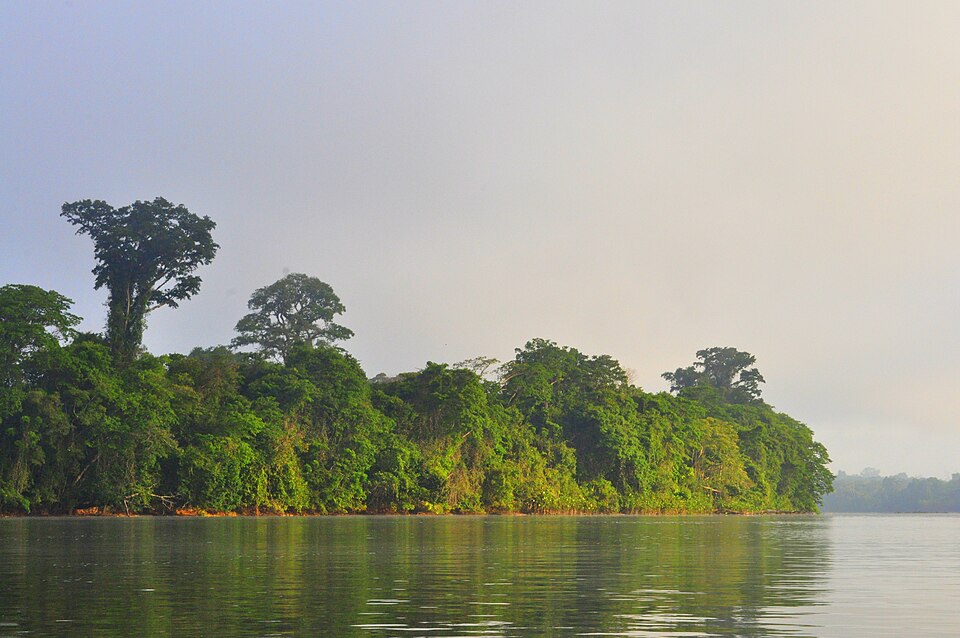 Fleuve Maroni – Expédition en pirogue 3