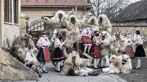 BUSÓJÁRÁS MOHÁCSON 2