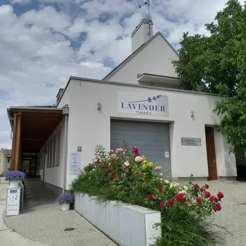 ILLATOK ÉS ÉLMÉNYEK TIHANYBAN 7