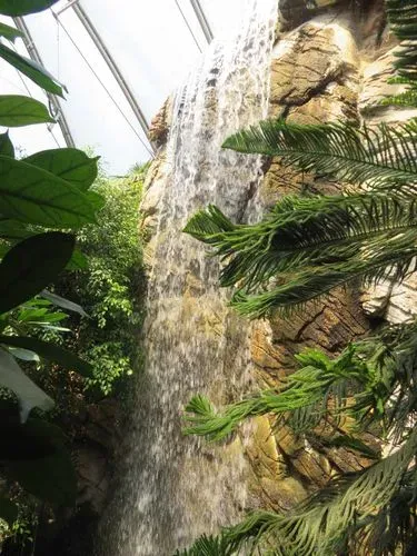 ÁLLATKERT LÁTOGATÁS VAGY FÜRDŐZÉS - NYÍREGYHÁZA - SÓSTÓ 1