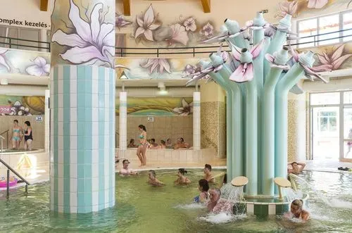 ÁLLATKERT LÁTOGATÁS VAGY FÜRDŐZÉS - NYÍREGYHÁZA - SÓSTÓ 9