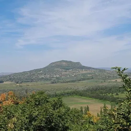 KÁPTALANTÓTI PIAC – SZIGLIGET – FOLLY ARBORÉTUM  3