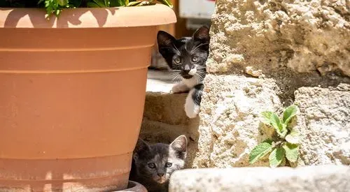 CIPRUS A SZERELEM SZIGETE 2