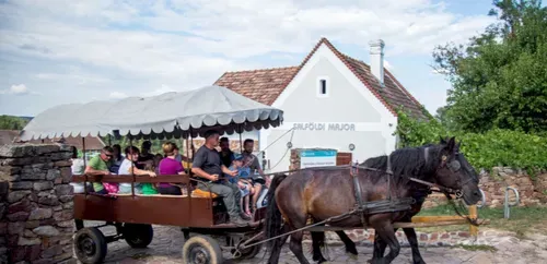 KÁLI MEDENCE- A BALATON-FELVIDÉK ÉKKÖVE 7