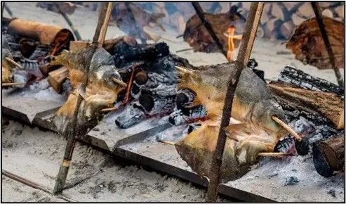 TATA – Öreg-tavi nagy halászat 2