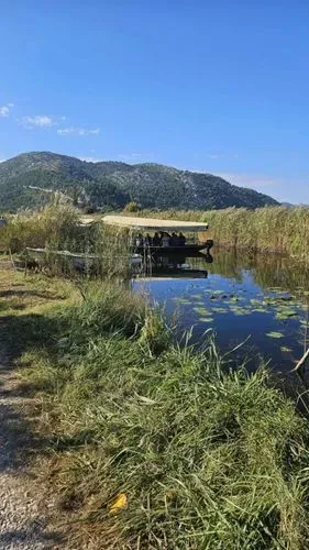 Mandarin szüret az Arany völgyben
Dubrovnik-Mandarin szüret a Neretva völgyben-Pocitelj 7