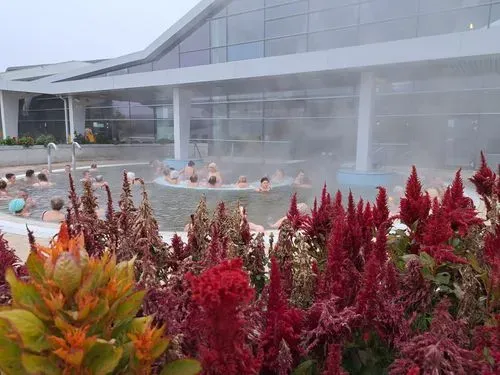 ESZEM ISZOM, DINOM DÁNOM A TAMÁS TANYÁN! 

ELŐTTE A KECSKEMÉTI FÜRDŐBEN LAZULÁS, FÜRDŐZÉS 2