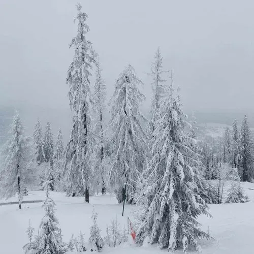 ZAKOPANE MESÉS VILÁGA ÉS A VILÁG
LEGNAGYOBB HÓ-LABIRINTUSA 7