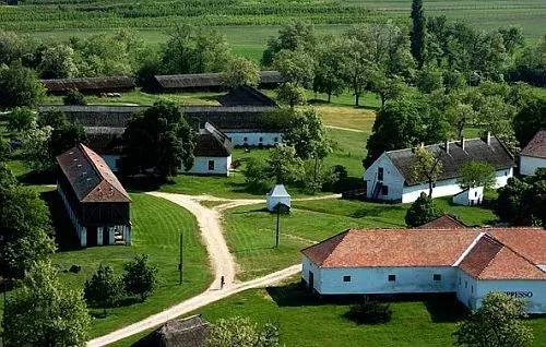 TULIPÁNVIRÁGZÁS KŐRÖSHEGYEN
Szántódpusztai Majorság 1