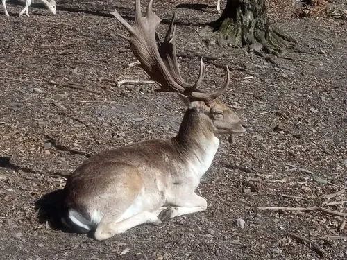 SZILVÁSVÁRAD – NOSZVAJ 6