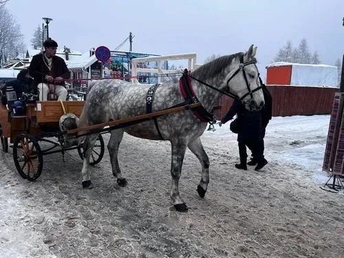 Utazás kép fő