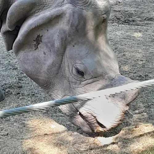 Tavaszköszöntő élményút Mórahalomtól Szegedig 4